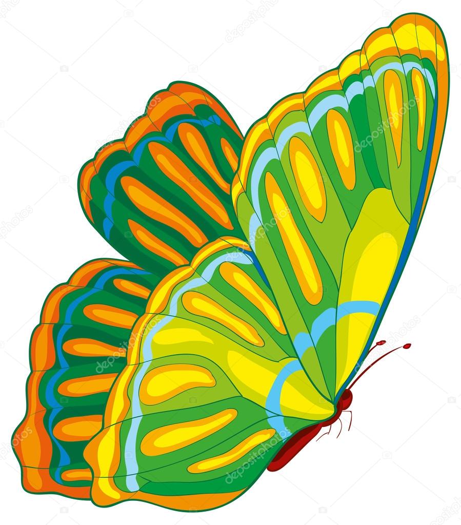 Color., Verano, Planta, Ilustración, Jardín Imagen Vectorial de © Kopirin #58287949 | Depositphotos Color., Verano, Planta, Ilustración, Jardín Imagen Vectorial de © Kopirin #58287949 | Depositphotos