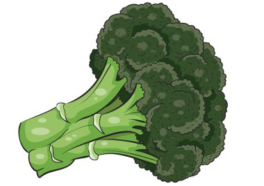 Yeşil brokoli illüstrasyon