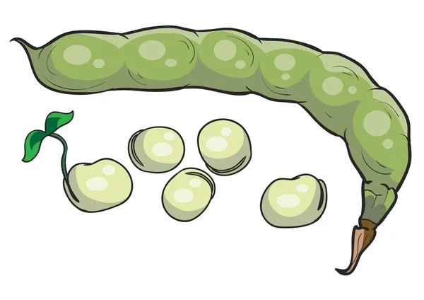 Иллюстрация зелёного гороха — стоковый вектор
