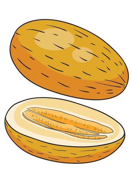 Melone illustrazione cartone animato — Vettoriale Stock