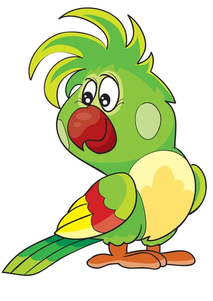 Parrot Cartoon afbeelding — Stockvector