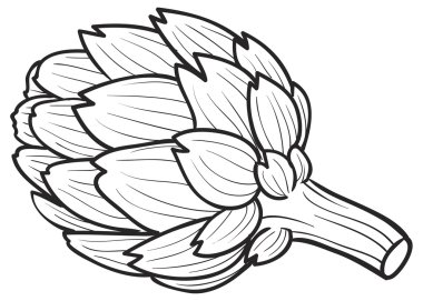 Enginar kroki çizimi