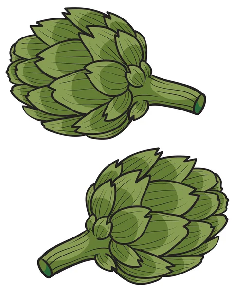 Ilustração de alcachofra fresca — Vetor de Stock