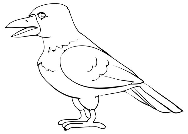 Cartoon character Bird