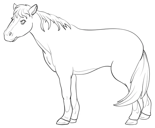 Divertido caballo de dibujos animados — Archivo Imágenes Vectoriales