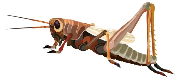 Ilustrasi dari kartun Locust - Stok Vektor
