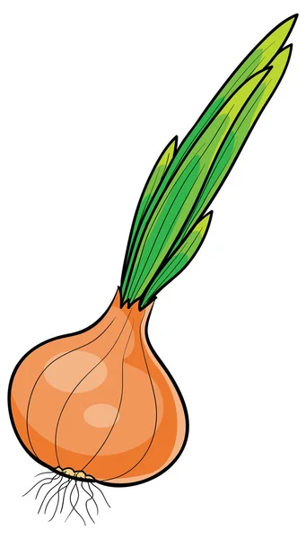 Illustration of fresh Onion — Stock Vector