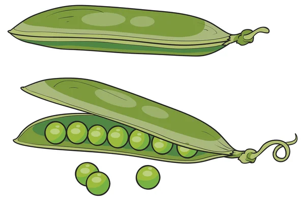 Illustration of fresh Peas — Stock Vector