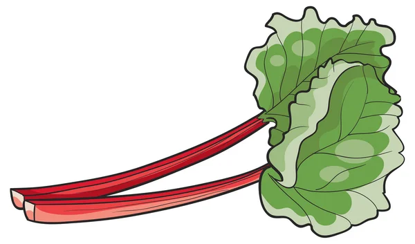 Taze ravent yaprakları