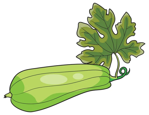 Courgettes dessinées à la main — Image vectorielle