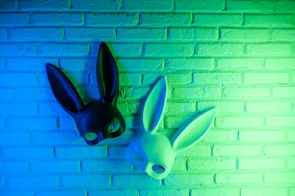 Schwarz-weiße Kaninchenmaske auf weißem Wandhintergrund in neongrün-blau — Stockfoto