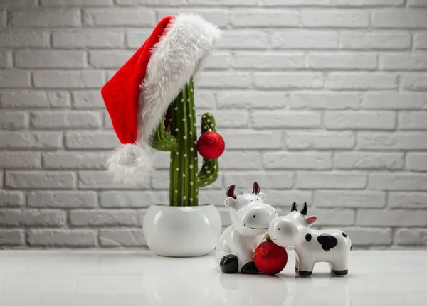 Artificial cactus with a Santa Claus hat Christmas toys and figures of a bull and a cow symbol of the new year 2021 — Stock Photo, Image