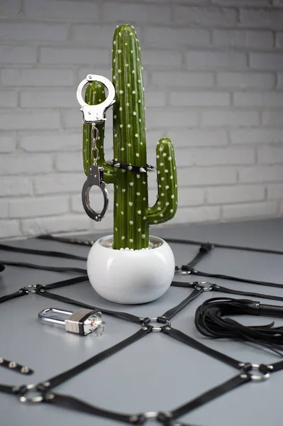 Erotik-Spielzeug für BDSM-Kakteen als Symbol des Phallus mit Handschellen — Stockfoto