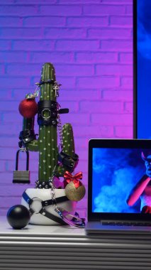 Kaktüs, televizyon ve dizüstü bilgisayarın yanındaki masada BDSM oyunları için aksesuar giymişti.