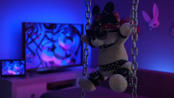 Teddy bear suspended from chains in bdsm accessories in neon light — 비디오