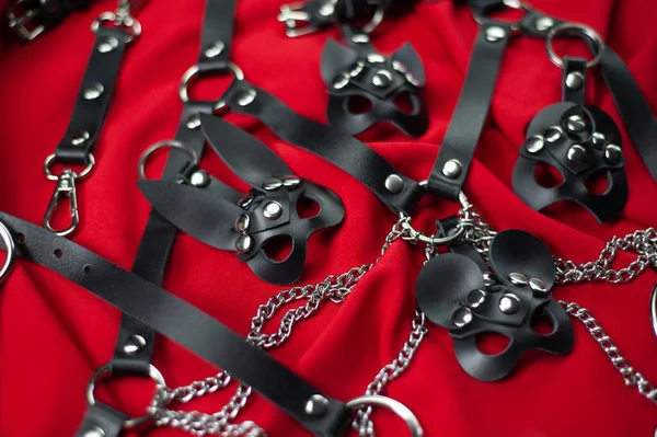 Set Erotic Toys Bdsm Sex Slavery Game Whip Gag Leather — Stock Photo, Image
