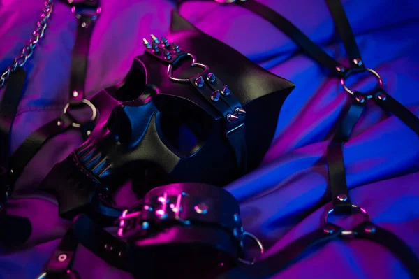 Bdsm iblisinin maskesi ve bdsm oyunları için deri aksesuarlar neon ışıkta karanlık bir arkaplanda — Stok fotoğraf