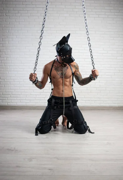 Deri bdsm maskeli bir adam kelepçeli bir köpek duvara karşı diz çöküyor.