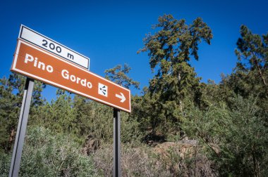 Yol işareti için Pino Gordo