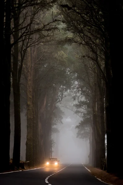 Coche conducir a través de la niebla oscura — Foto de Stock