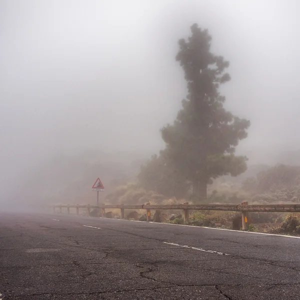 Má visibilidade na estrada — Fotografia de Stock