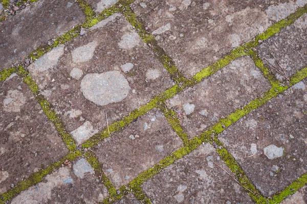 Vecchio sentiero di pietra — Foto Stock