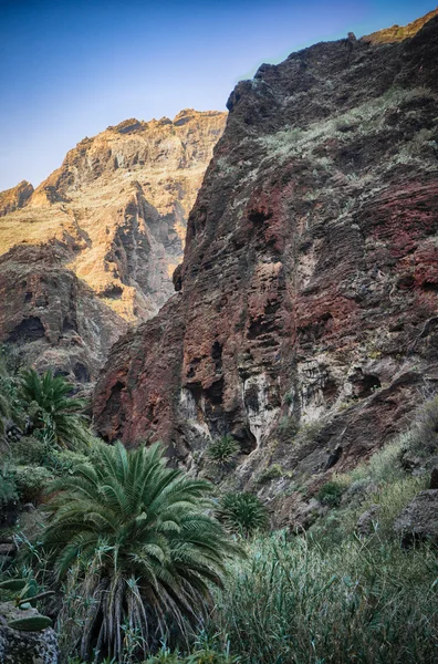 Dans la gorge de Masca — Photo