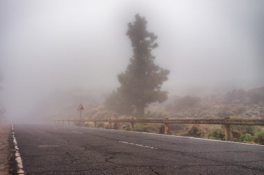 Cloud yol