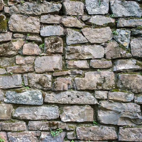 Eski taş duvar tuğla doku — Stok fotoğraf