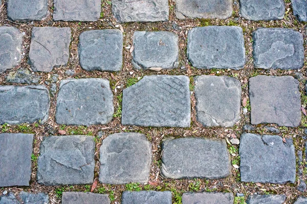 Pavers with grass — Stock Photo, Image