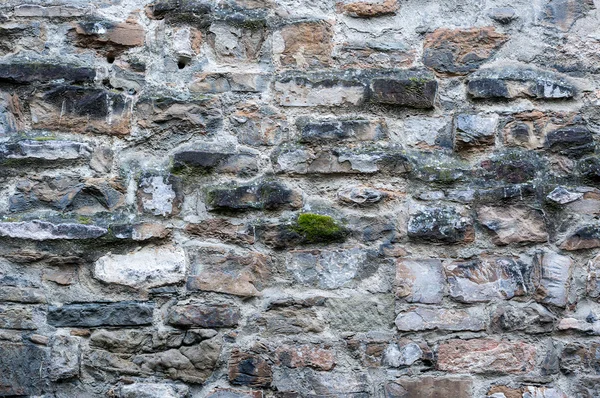 Taş duvar tuğla dokusu — Stok fotoğraf