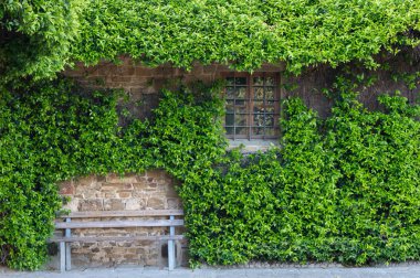 Relax için rahat tezgah