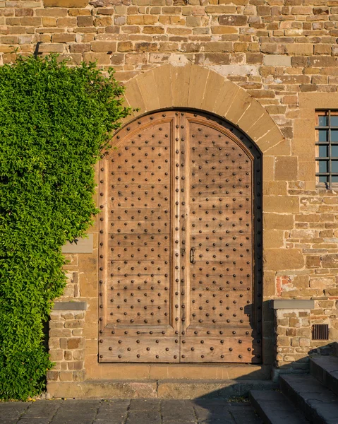 Древняя дверь с плющом — стоковое фото