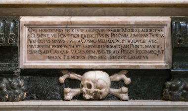 kafatası ve kemiklerin