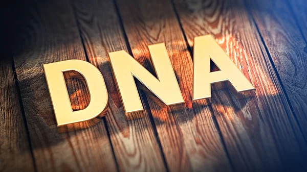 首字母缩略词 Dna 在木板上 — 图库照片