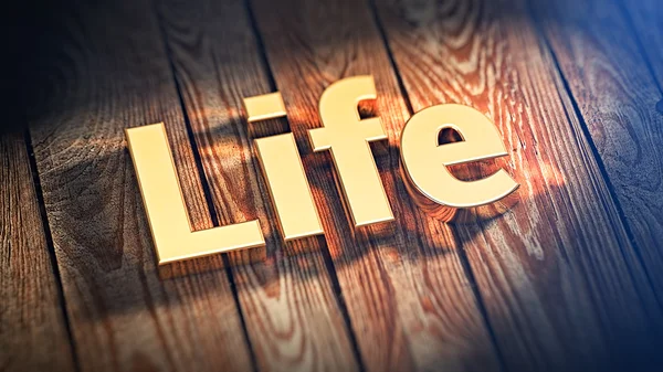 Słowo życia na desek drewnianych — Zdjęcie stockowe