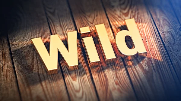 Word Wild on wood planks — Stock Photo, Image