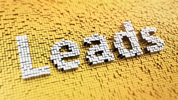 Pixelated müşteri adayları