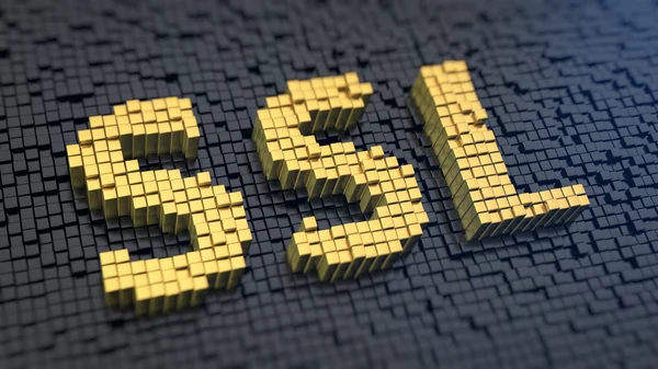 SSL кубики — стоковое фото