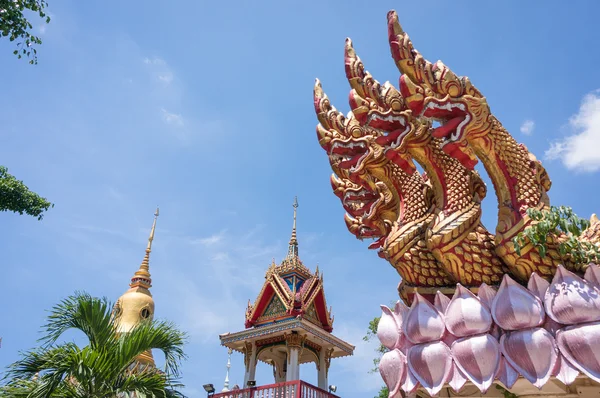 Drachen im asiatischen Tempel — Stockfoto