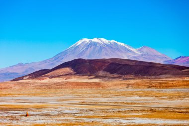 Ollague volcano in Bolivia clipart