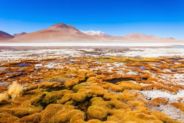 Lake, Bolivia Altiplano clipart
