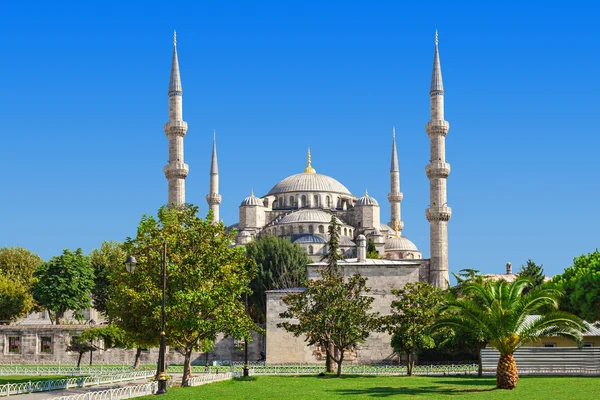 Die blaue Moschee — Stockfoto