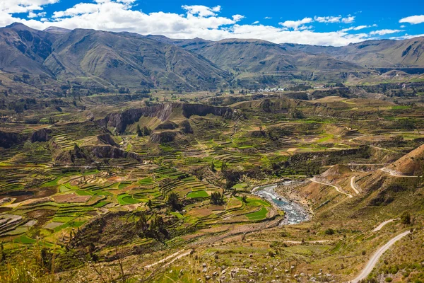 Valle del Colca, Perú — Foto de Stock