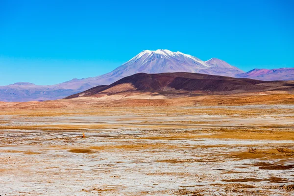 Altiplano cerca de Uyuni — Foto de Stock