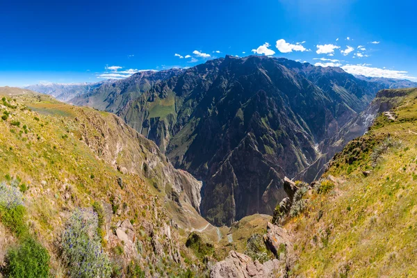 Kanion Colca w peru — Zdjęcie stockowe