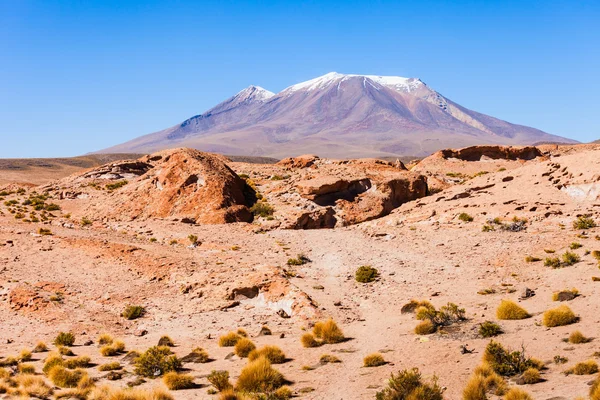 볼리비아에서 Ollague 화산 — 스톡 사진
