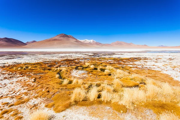 Lago, Bolívia Altiplano — Fotografia de Stock