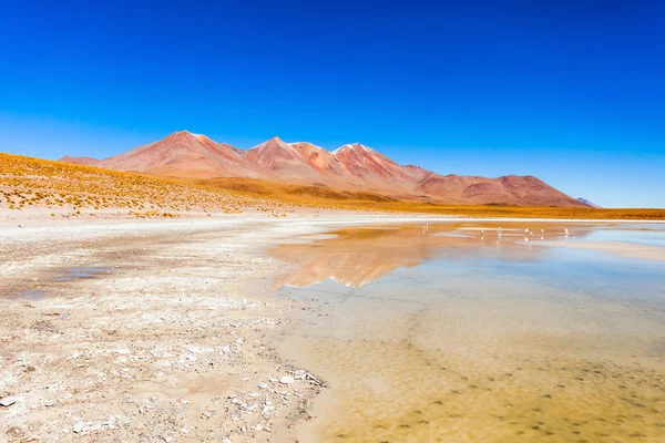 Jezero, Altiplano Bolívie — Stock fotografie