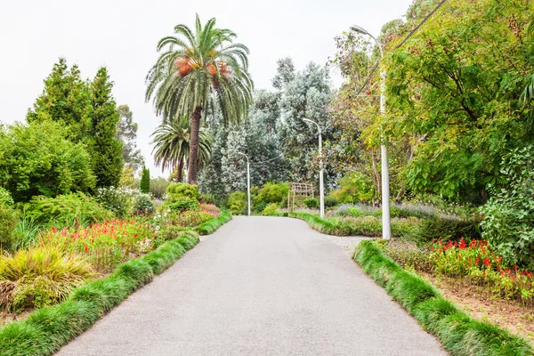 Ogród botaniczny Batumi — Zdjęcie stockowe